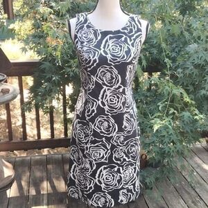 HOST PICK! 🌷Brooks Brothers Cotton Sheath Dress. 💐🌸🌹🥀🌺🌼🌷🪻⚘️